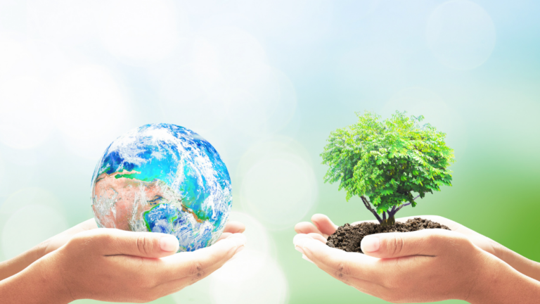 préservation de l'environnement