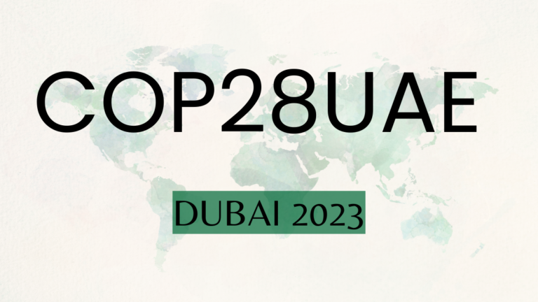 COP 28