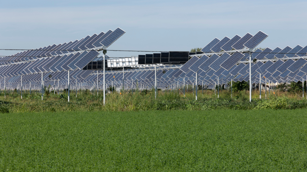 Agrivoltaïsme