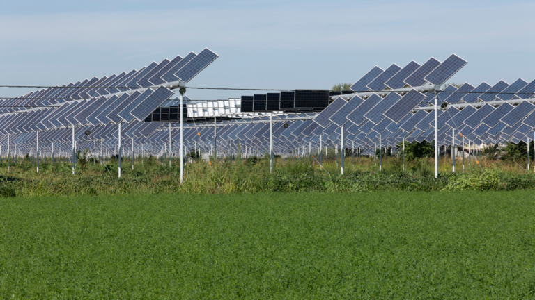 Agrivoltaïsme