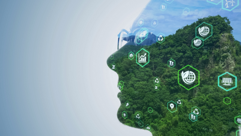fiscalité environnementale en 2024 en France