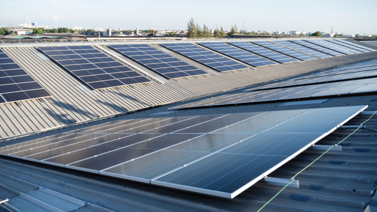 Panneau solaire monocristallin et polycristallin