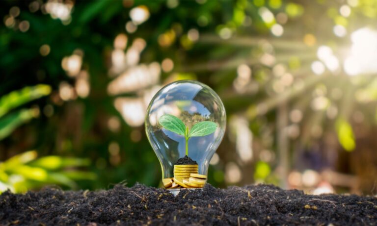 Autoconsommation électrique : un atout pour votre facture et la France, selon l'Ademe