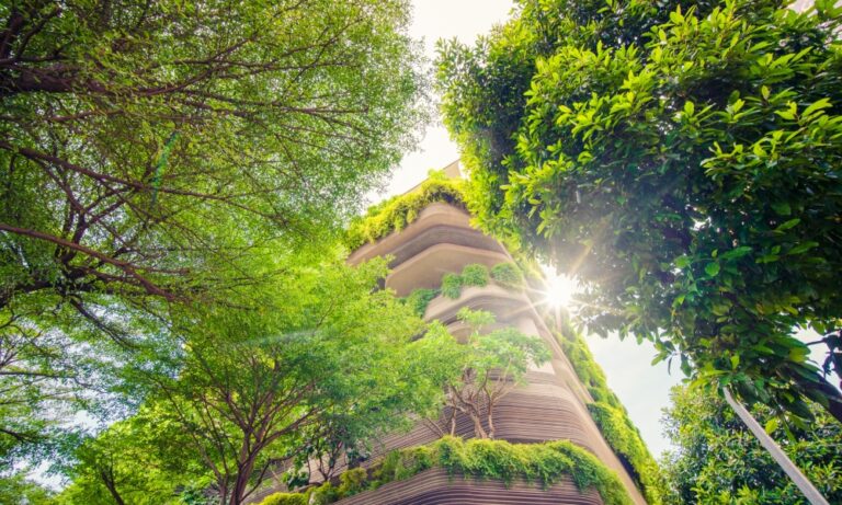 Transition énergétique trois visions pour éclairer un avenir durable à Toulouse