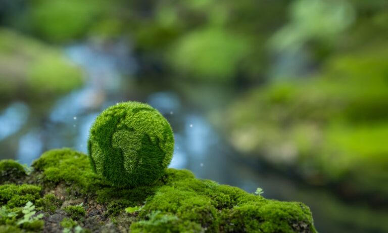 Climat la Chine amorce un tournant historique avec une baisse inédite de ses émissions de CO₂